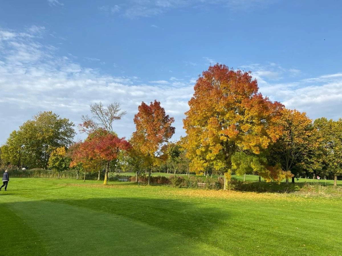 De stem van de natuur