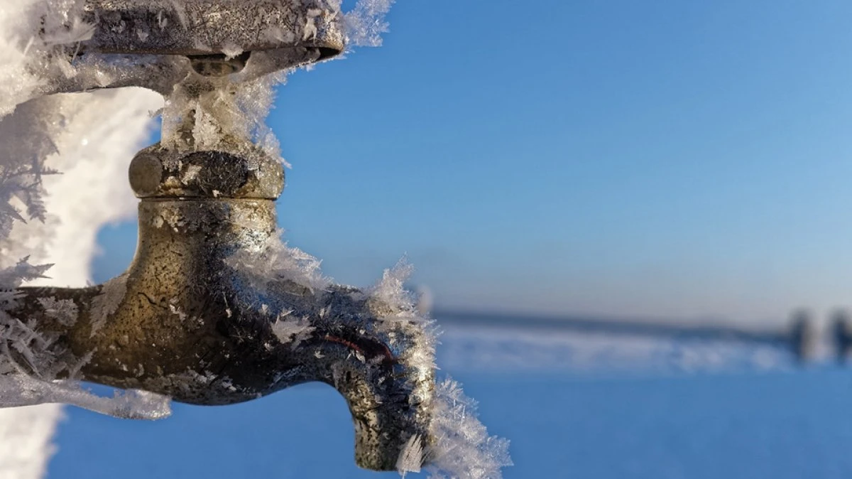 Wat gebeurt er met Vorst?